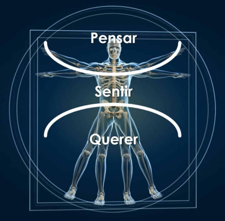 Sentir-pensar-e-querer- Sentir-pensar-e-querer-
