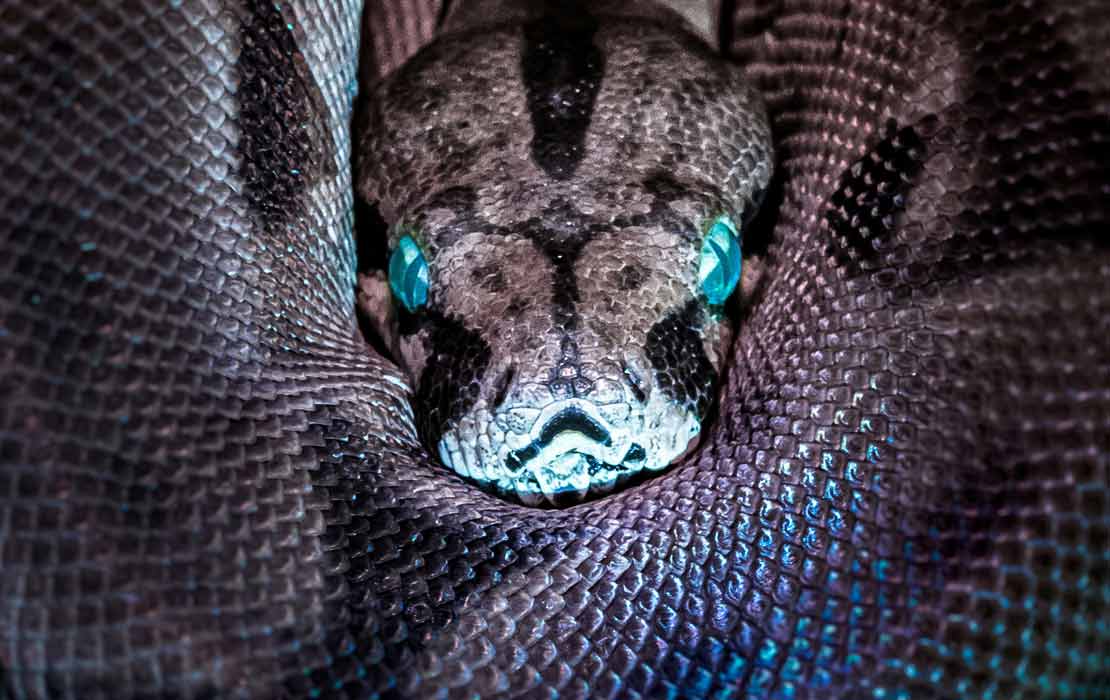 jan-kopriva-unsplash Jan Kopriva/Unsplash